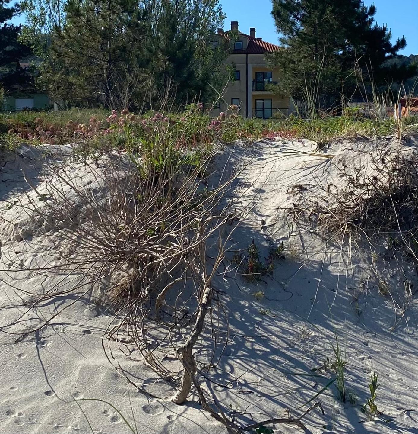 Apto Las Dunas De Langosteira En Finisterre Bagian luar foto